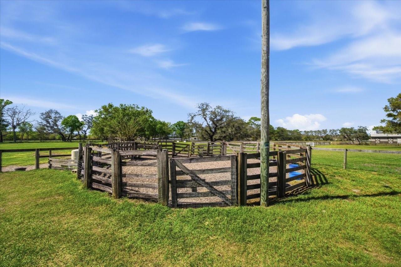 9449 ROBERTS RD, ODESSA, FL — photo 56