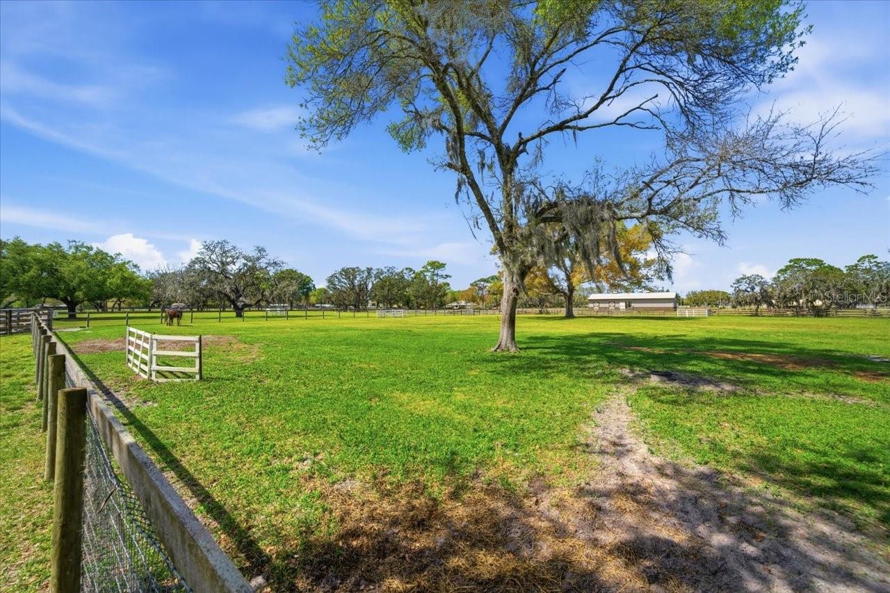 9449 ROBERTS RD, ODESSA, FL — photo 59