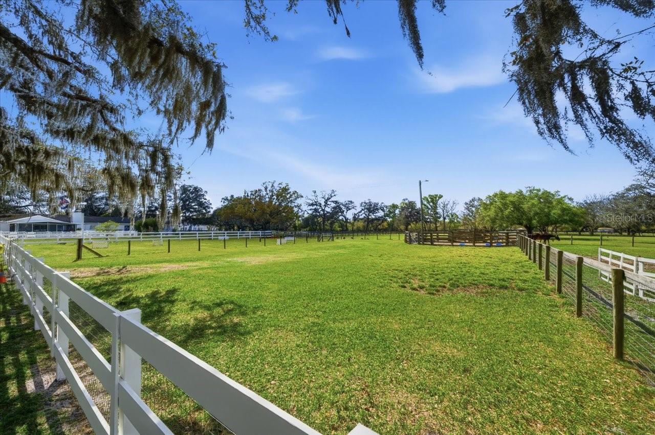 9449 ROBERTS RD, ODESSA, FL — photo 60