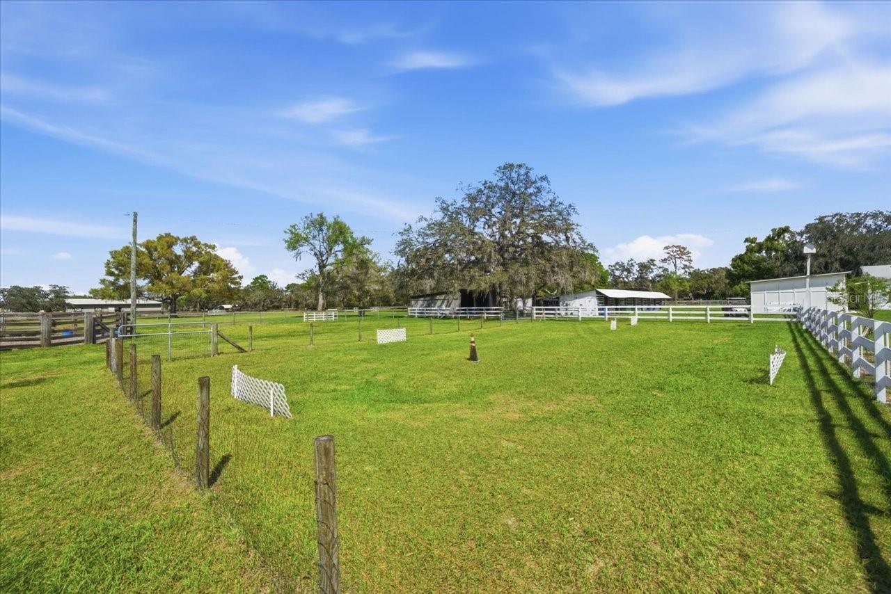 9449 ROBERTS RD, ODESSA, FL — photo 61