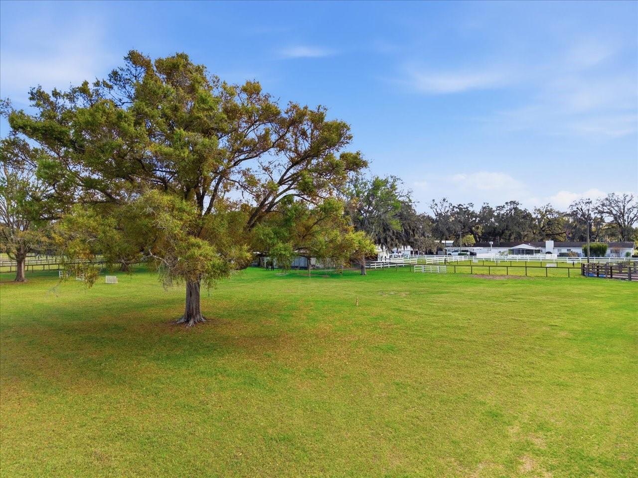 9449 ROBERTS RD, ODESSA, FL — photo 65