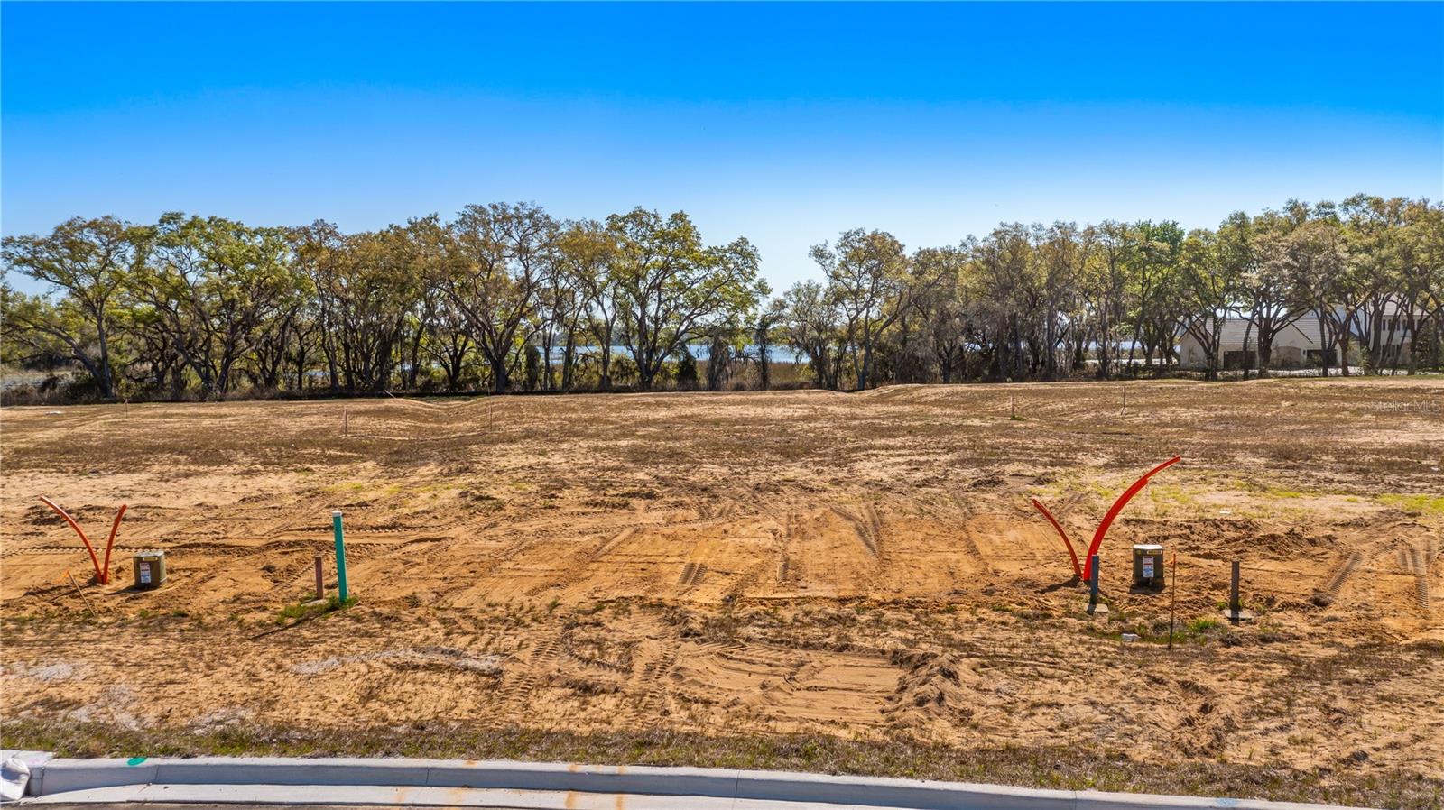 MARIGOLD BELLE CIR, CLERMONT, FL — photo 34