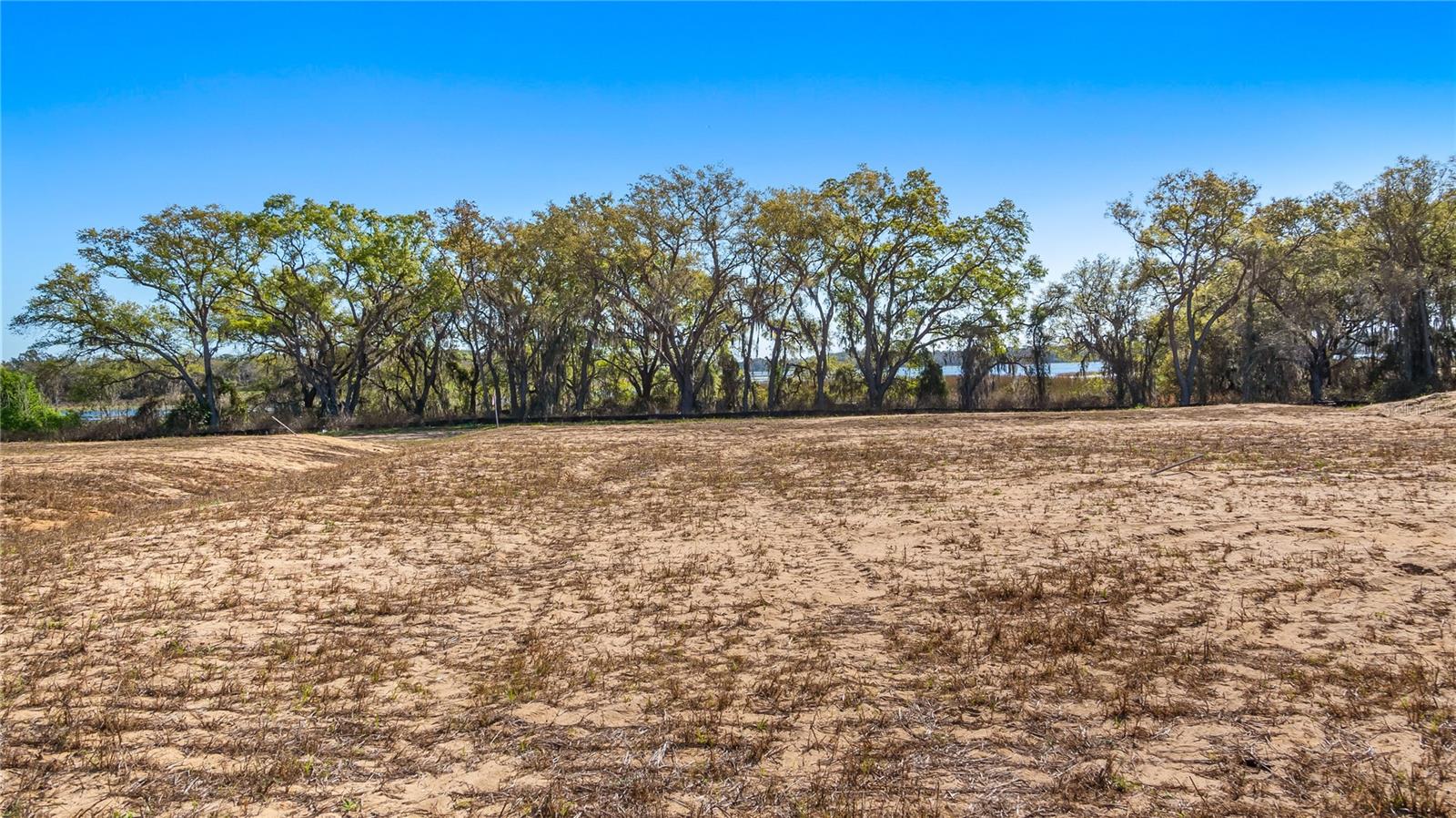 MARIGOLD BELLE CIR, CLERMONT, FL — photo 44