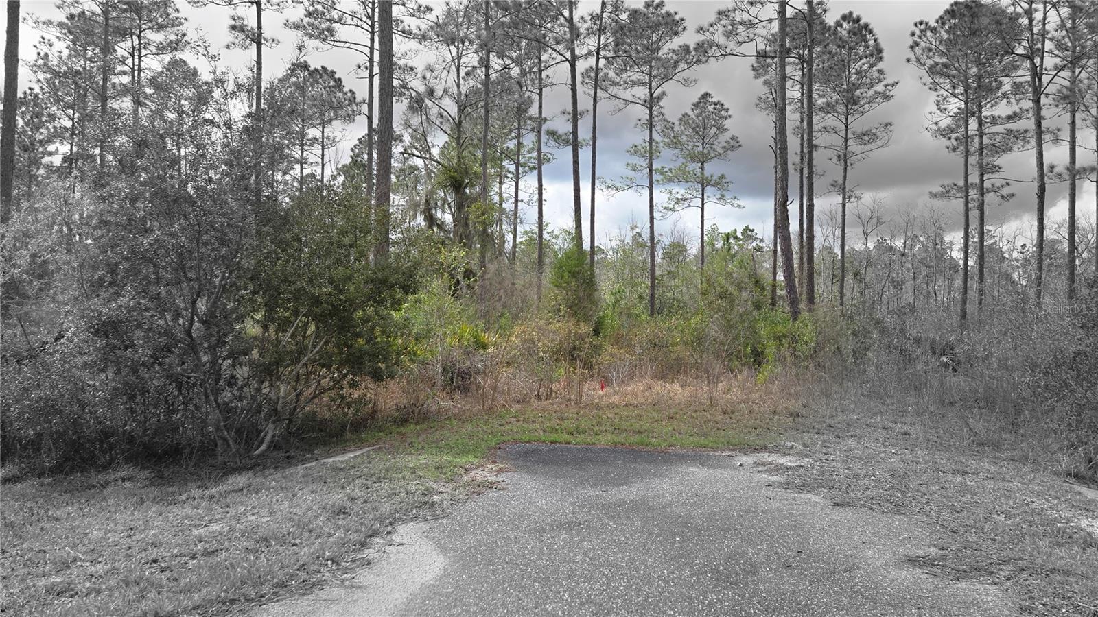 Lot 10 NW NATALIE WAY, LAKE CITY, FL — photo 2