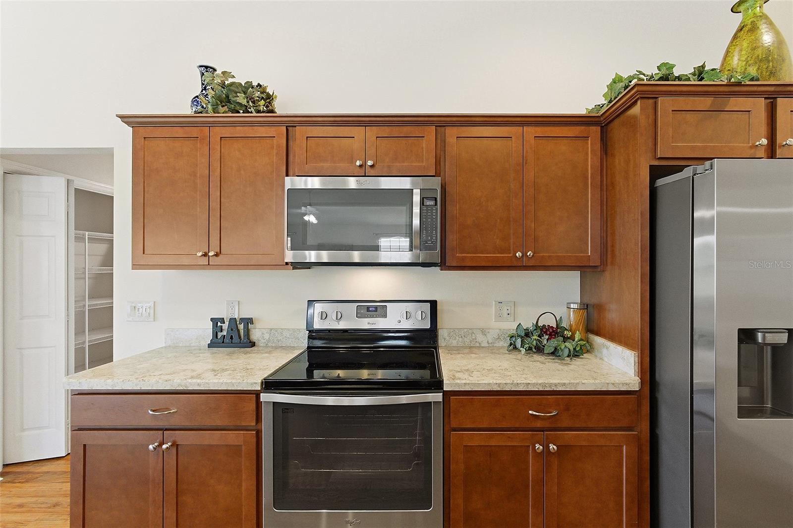 3258 HOLLEY TER, THE VILLAGES, FL — photo 12