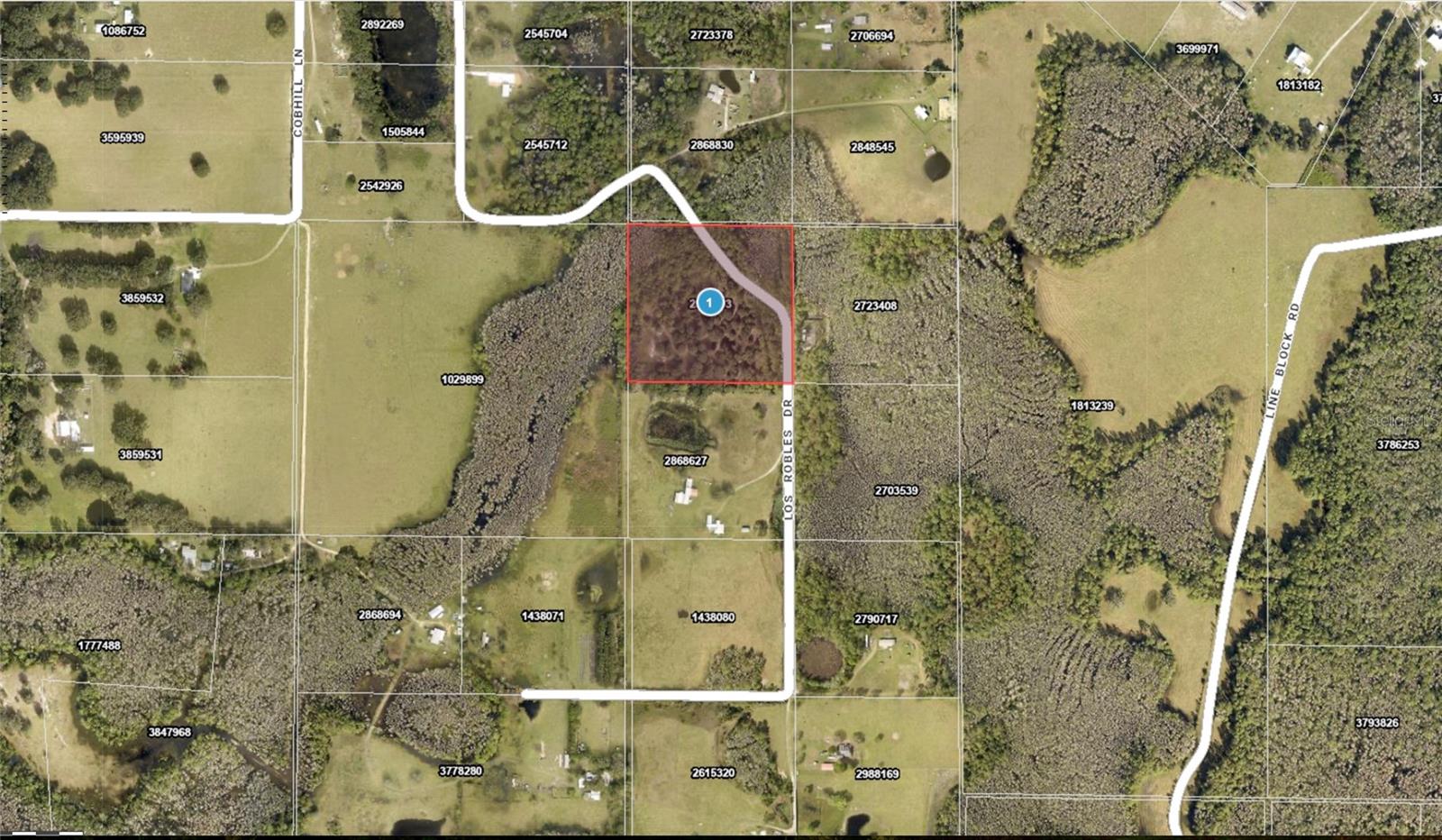 LOS ROBLES DR, GROVELAND, FL — photo 3