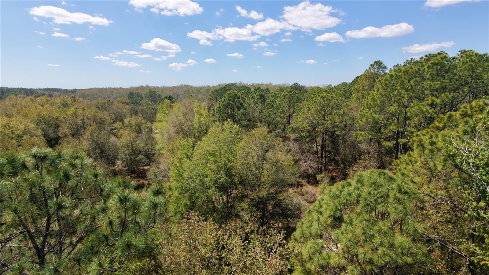 LOS ROBLES DR, GROVELAND, FL — photo 5