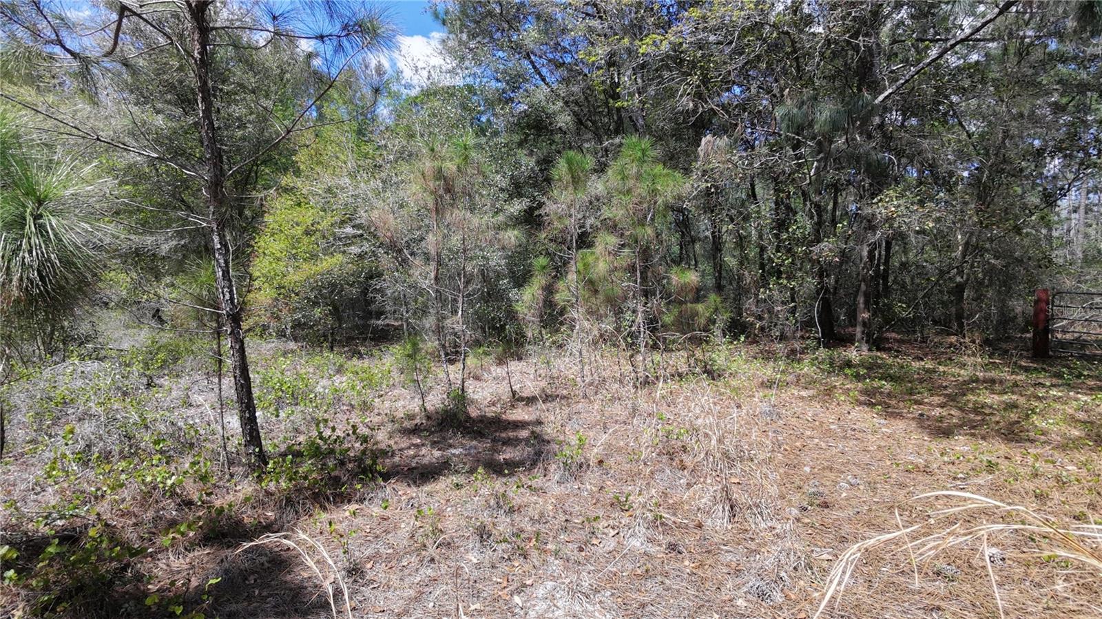 LOS ROBLES DR, GROVELAND, FL — photo 7