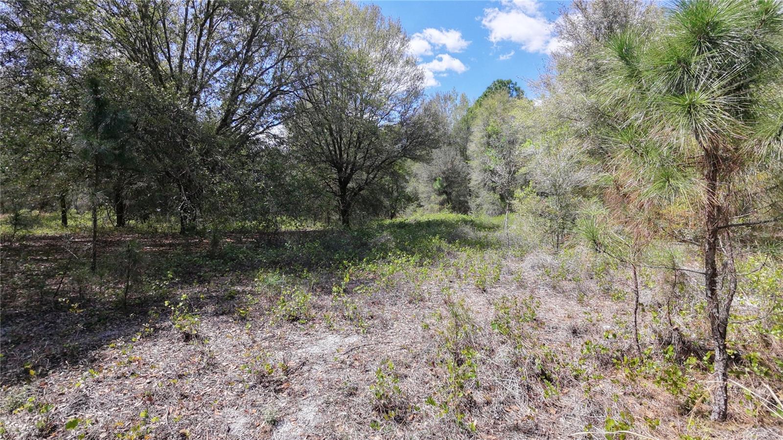 LOS ROBLES DR, GROVELAND, FL — photo 9