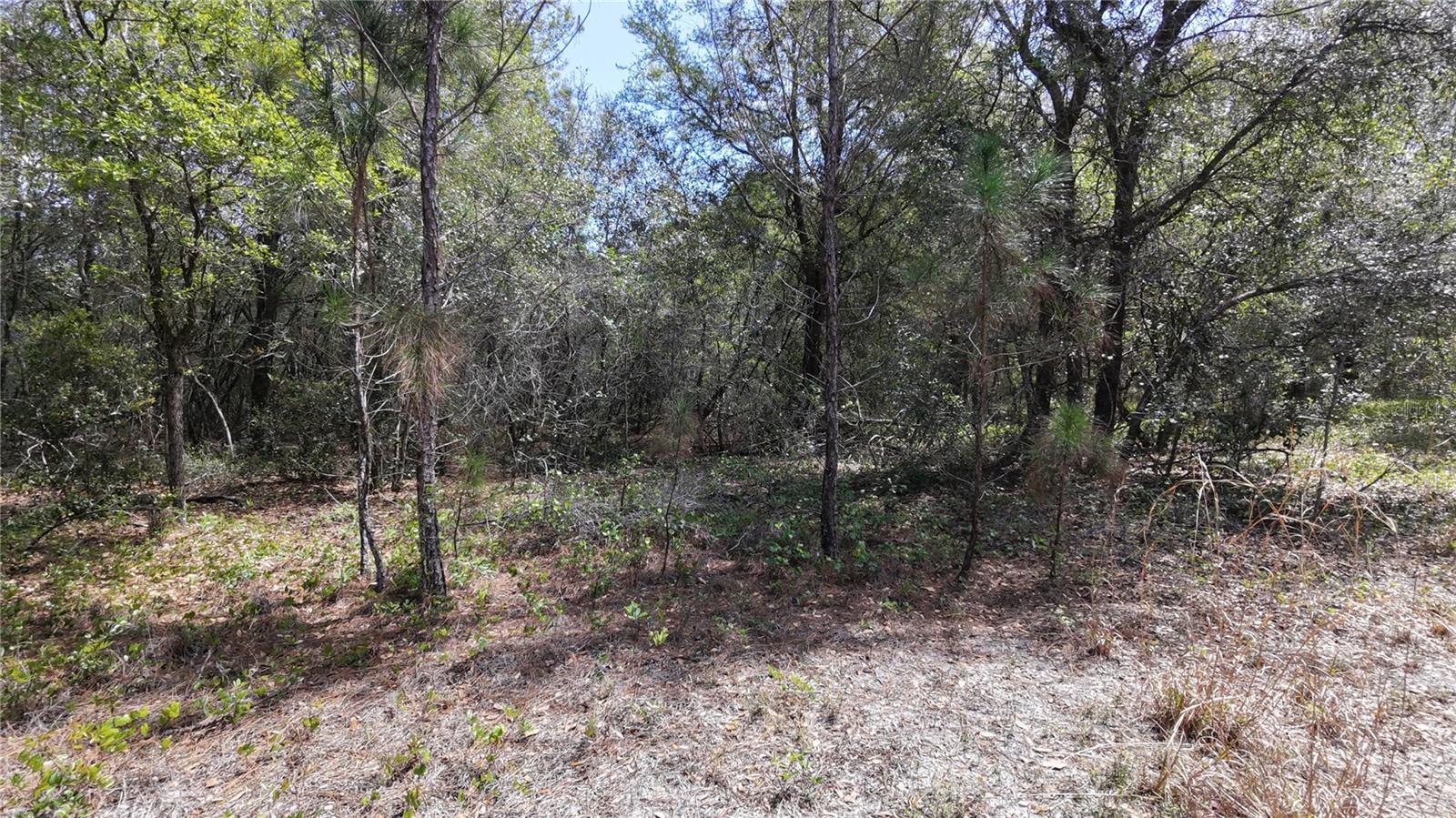 LOS ROBLES DR, GROVELAND, FL — photo 11