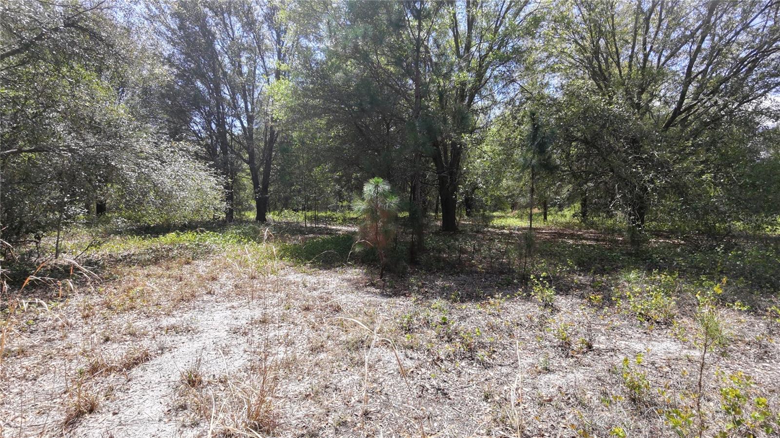 LOS ROBLES DR, GROVELAND, FL — photo 14