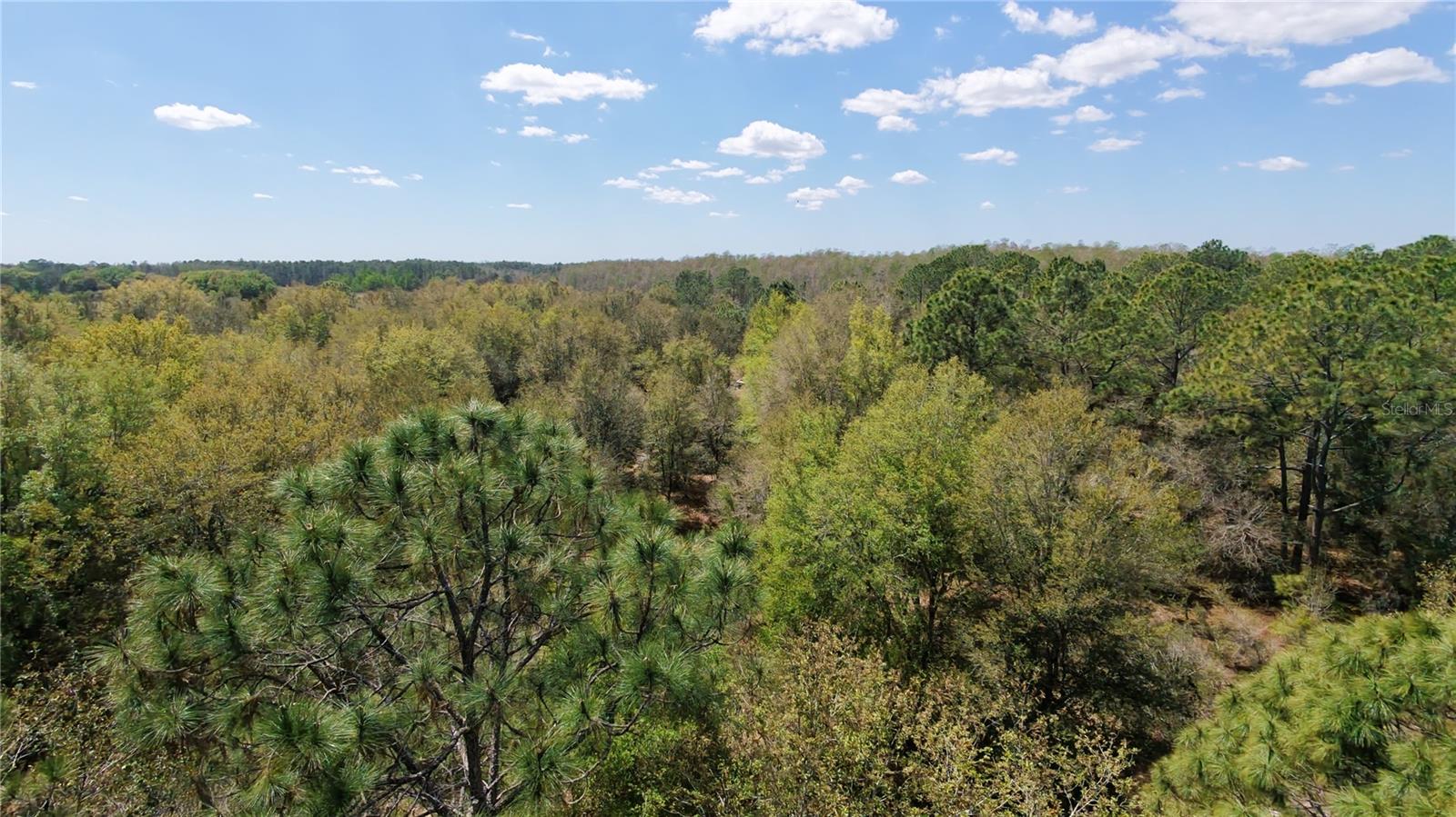 LOS ROBLES DR, GROVELAND, FL — photo 15