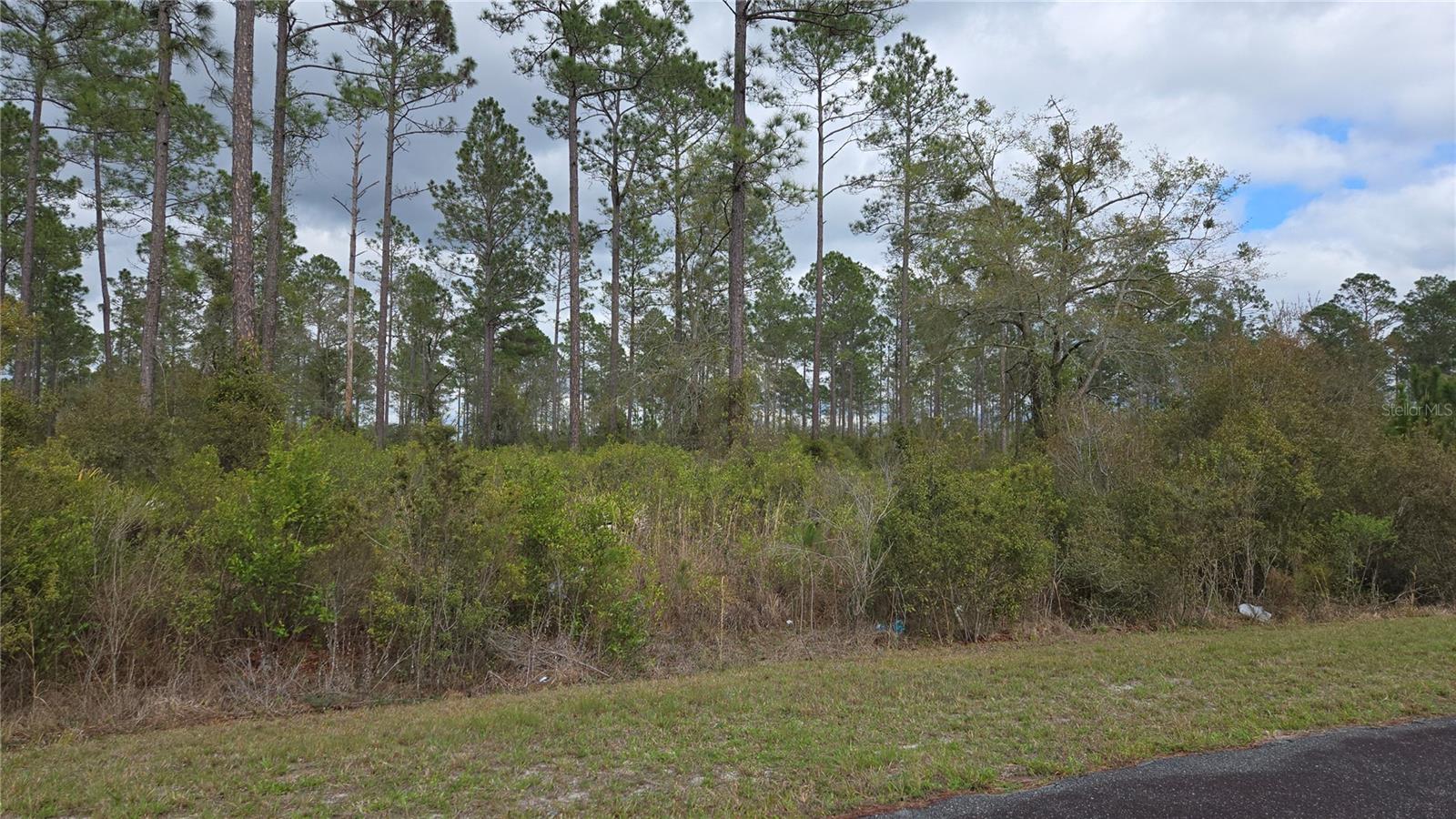 Lot 9 NW NATALIE WAY, LAKE CITY, FL — photo 4
