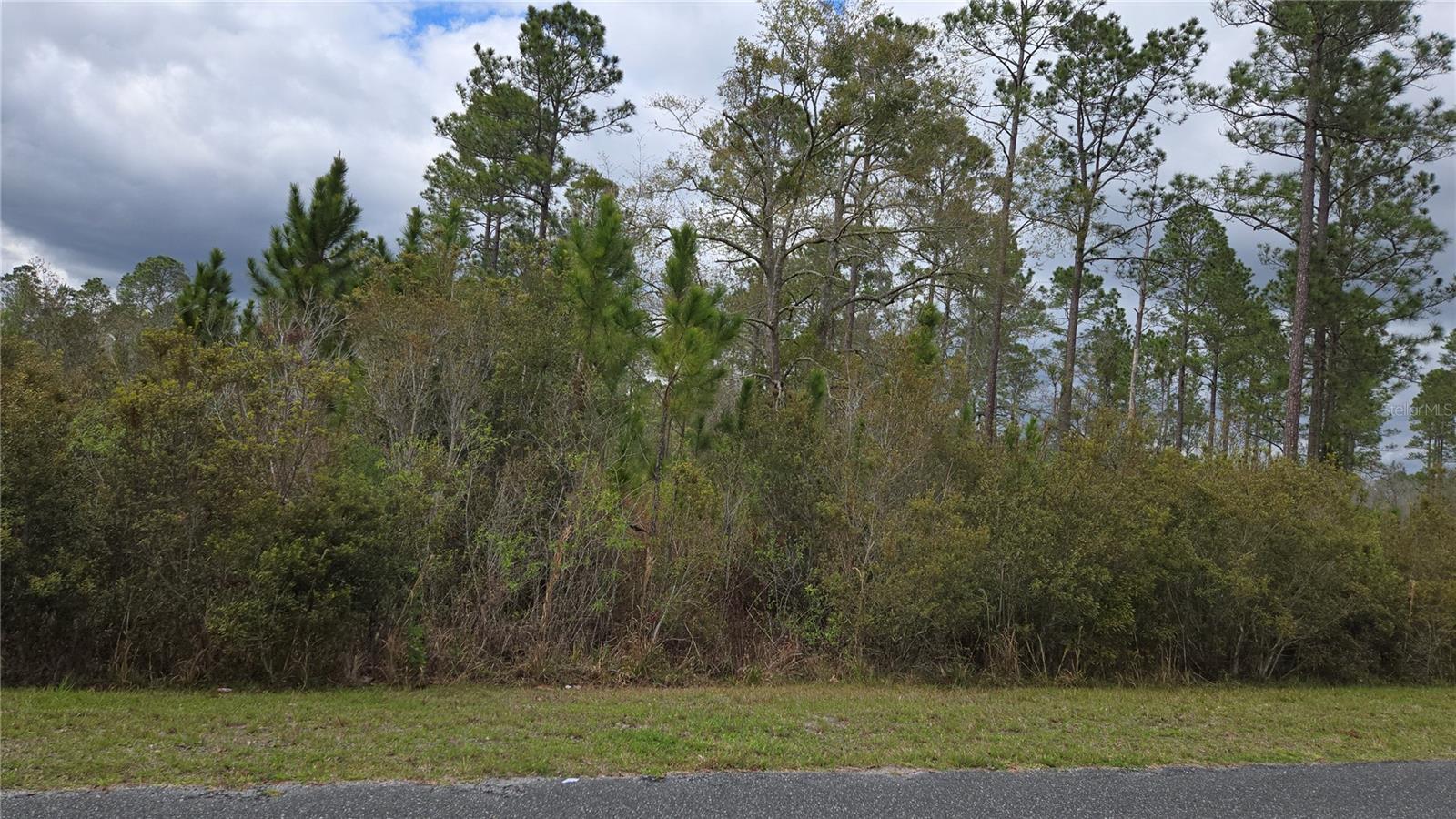 Lot 9 NW NATALIE WAY, LAKE CITY, FL — photo 6