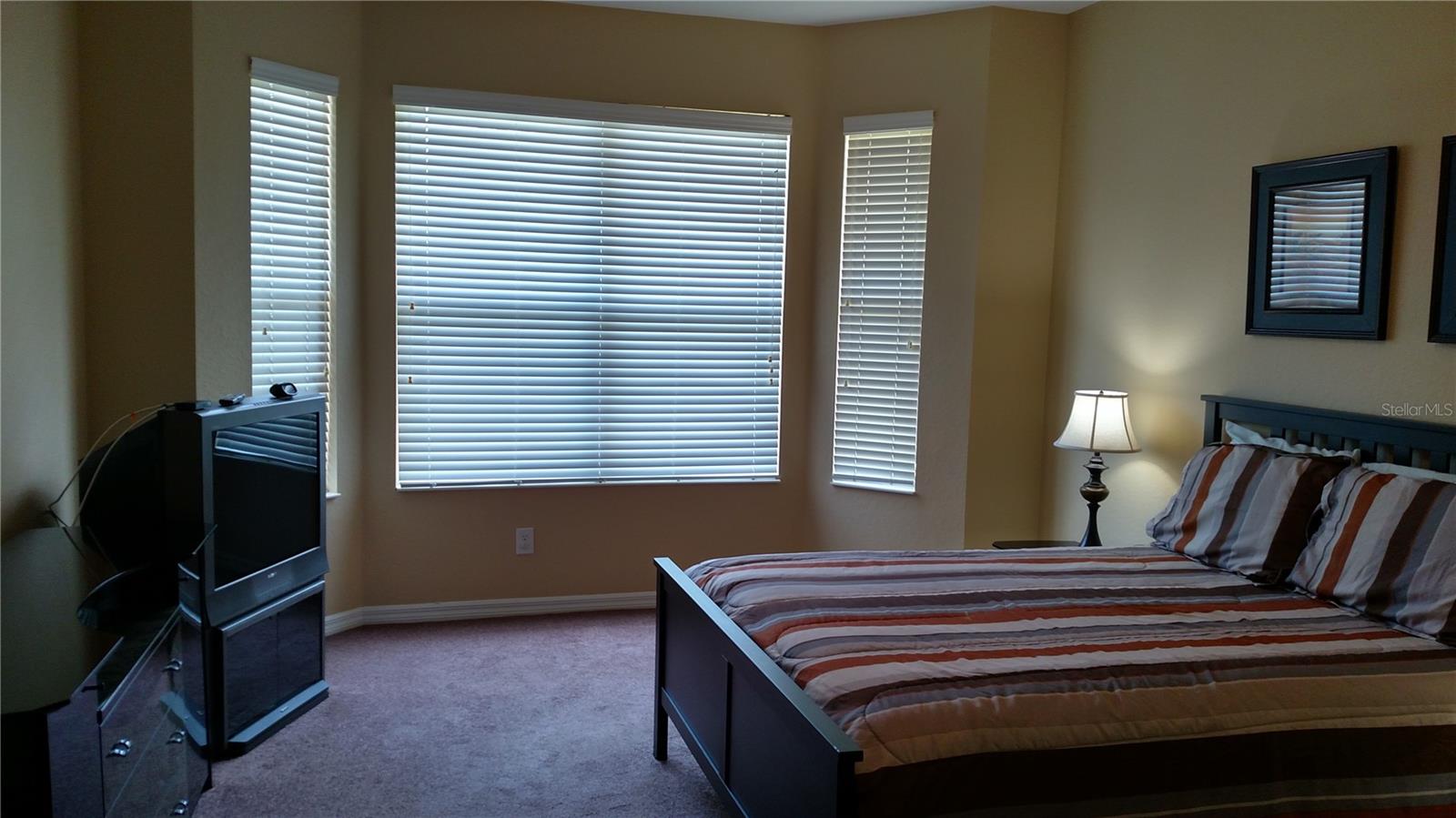 11581 DANCING RIVER DR, VENICE, FL — photo 10