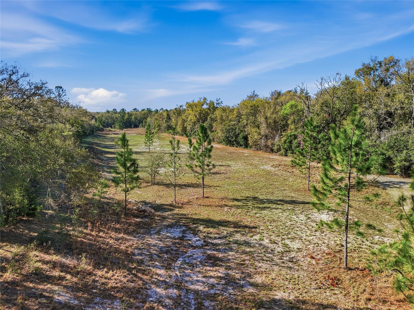 8920 NE 8TH PL, HIGH SPRINGS, FL — photo 34