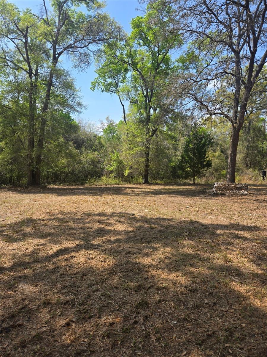 268 SW LUKE PL, FORT WHITE, FL — photo 4