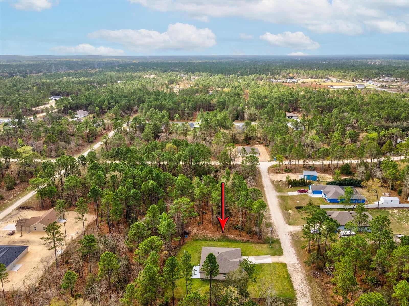 16334 FROST BIRD RD, WEEKI WACHEE, FL — photo 41
