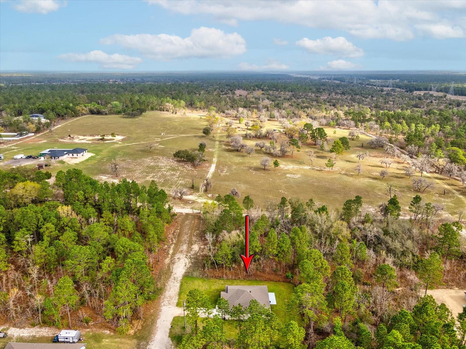 16334 FROST BIRD RD, WEEKI WACHEE, FL — photo 43