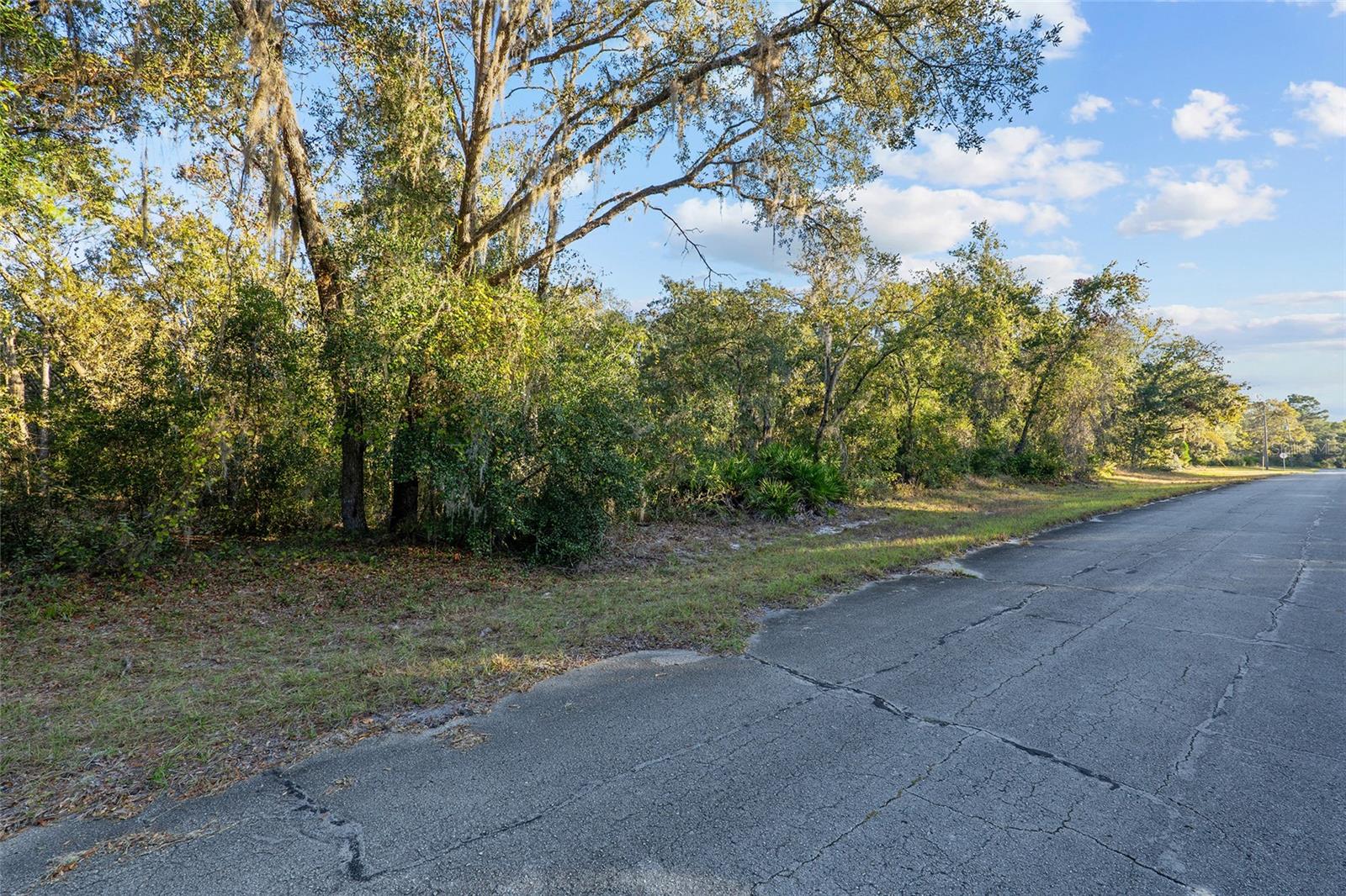 TBD SW 174 PL, OCALA, FL