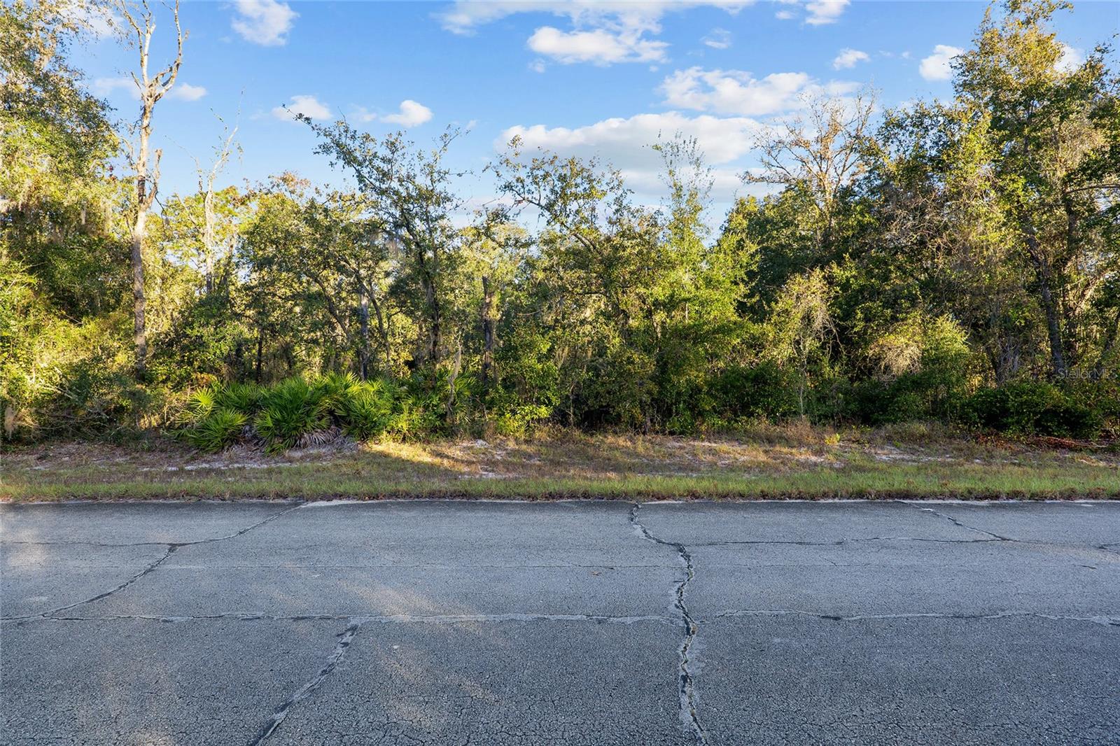 TBD SW 174 PL, OCALA, FL — photo 2