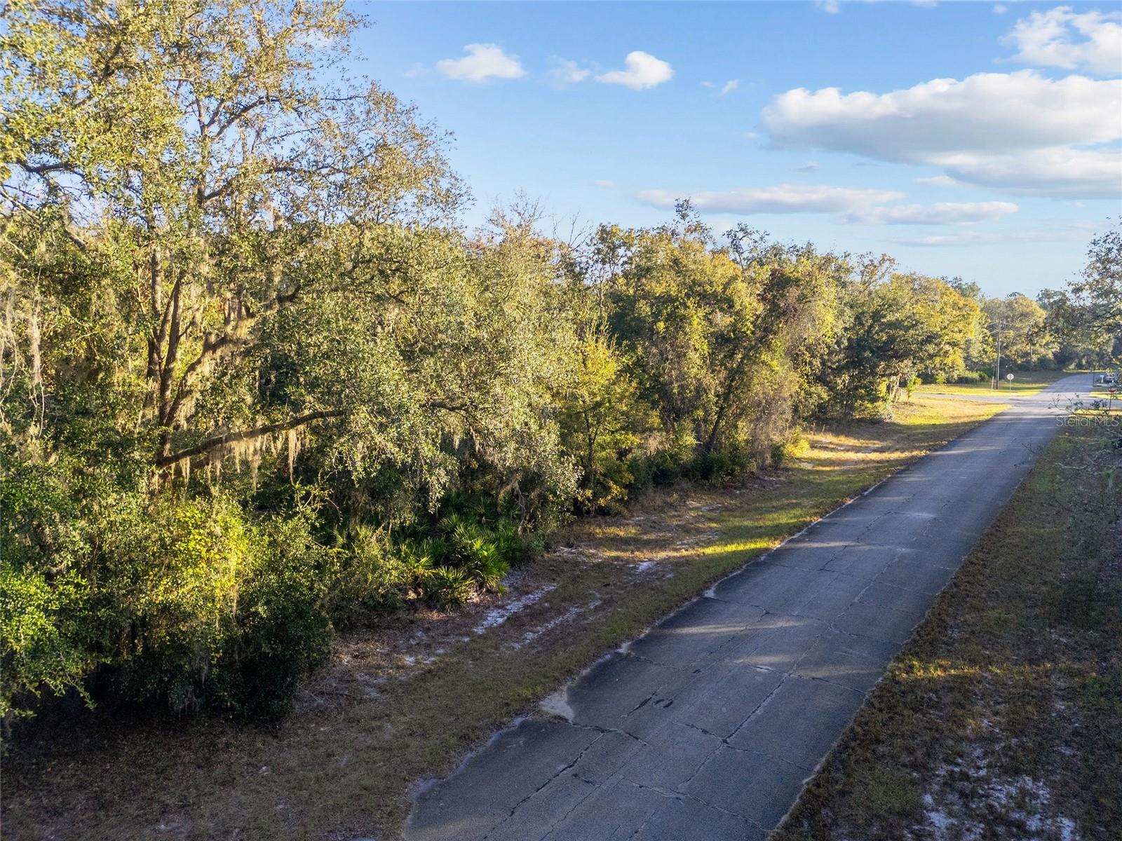 TBD SW 174 PL, OCALA, FL — photo 3