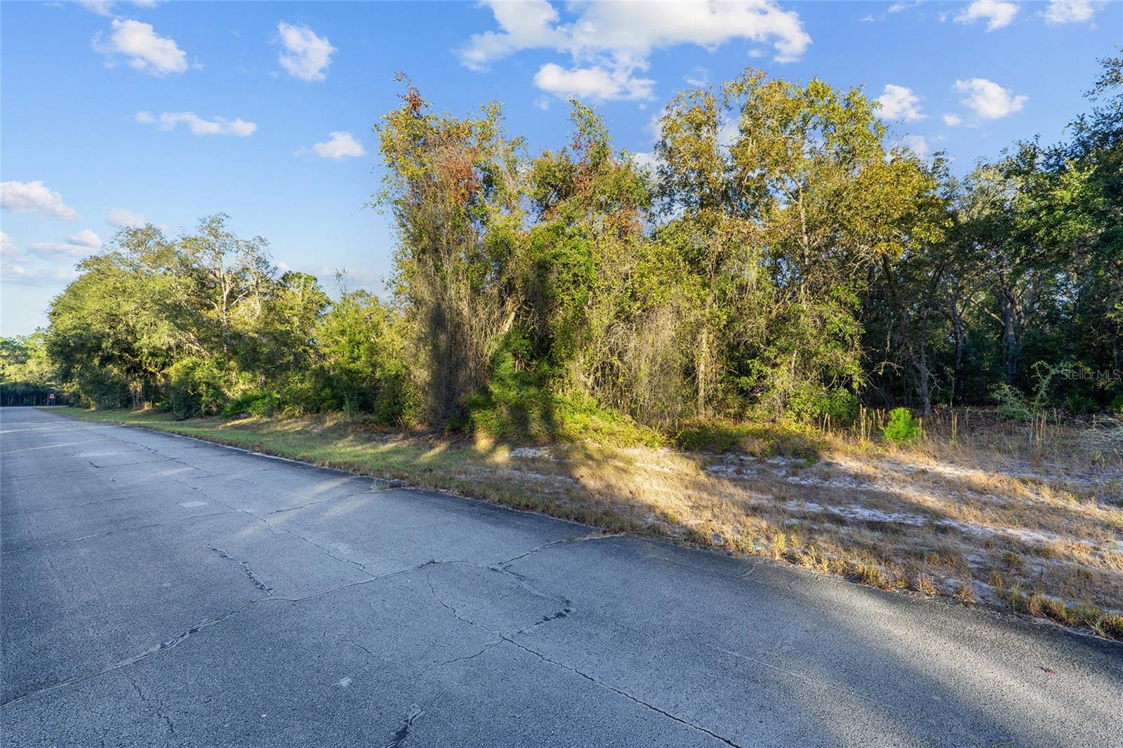 TBD SW 174 PL, OCALA, FL — photo 5