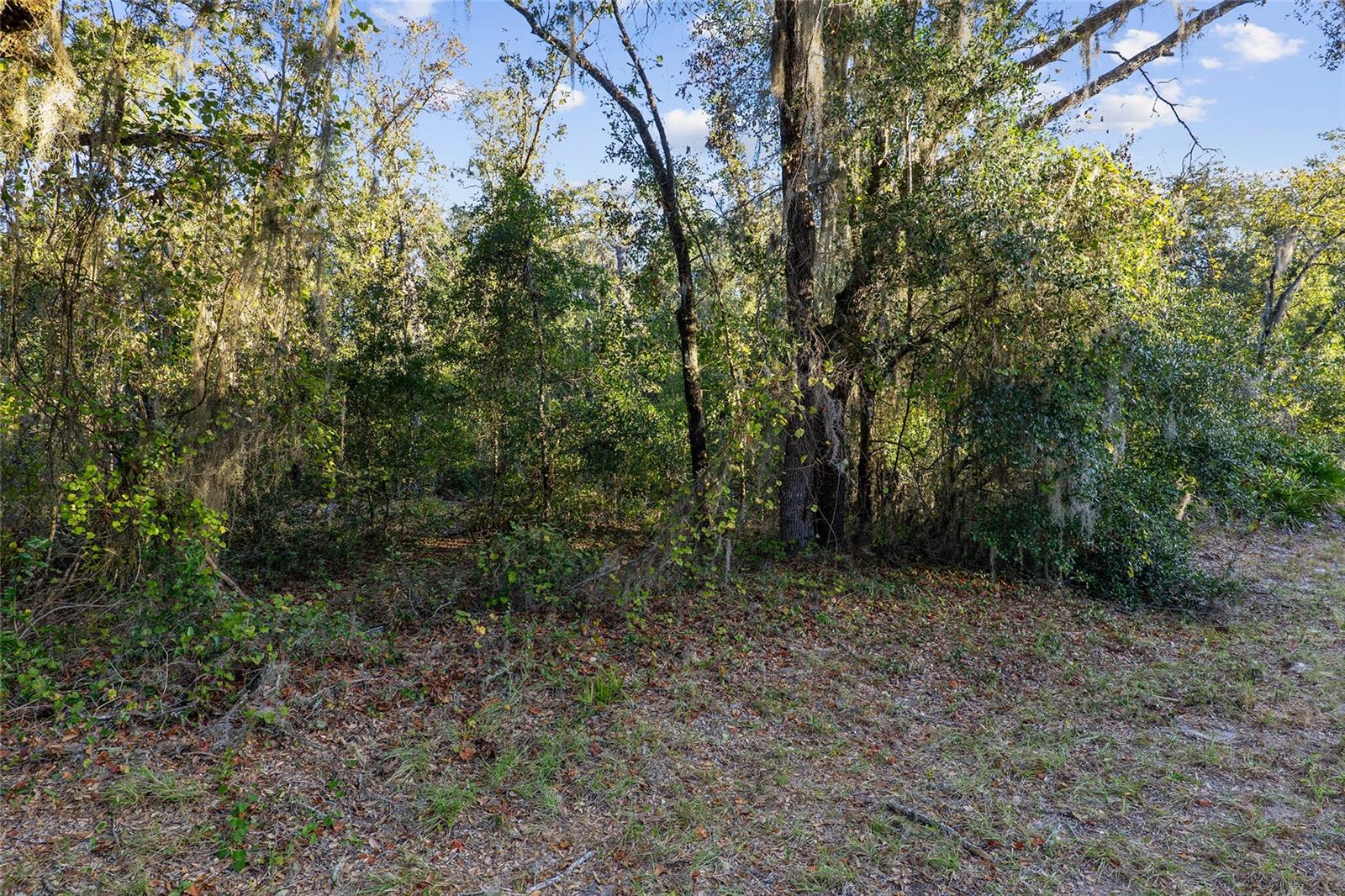 TBD SW 174 PL, OCALA, FL — photo 7