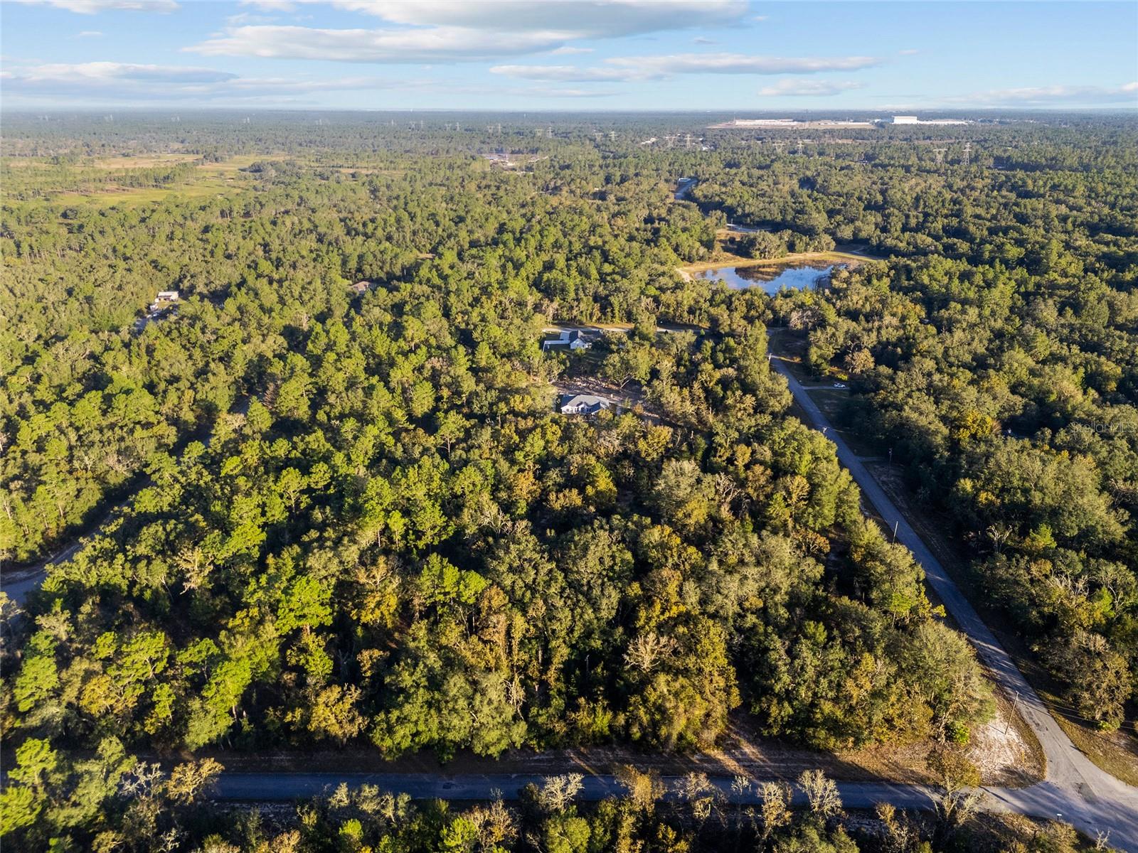 TBD SW 174 PL, OCALA, FL — photo 9