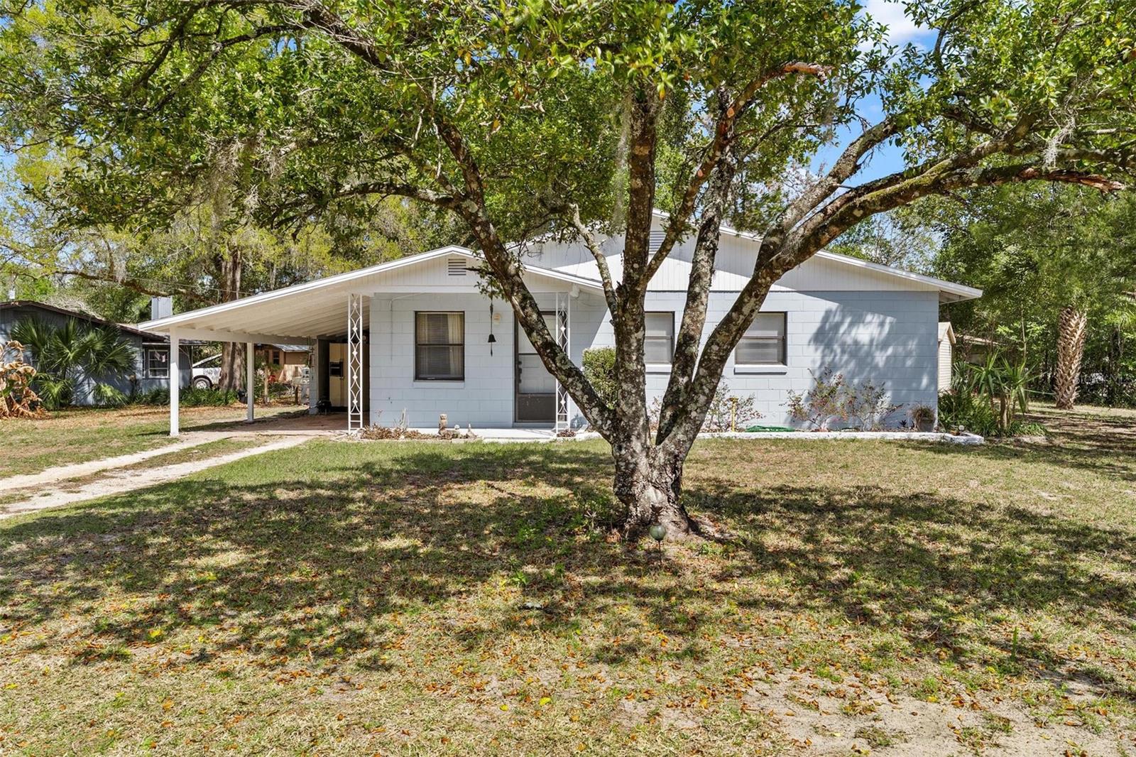 501 POINSETTIA AVE, FRUITLAND PARK, FL — photo 7