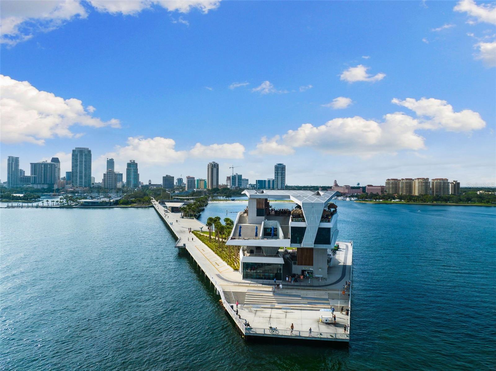 10351 2ND ST N, ST PETERSBURG, FL — photo 32