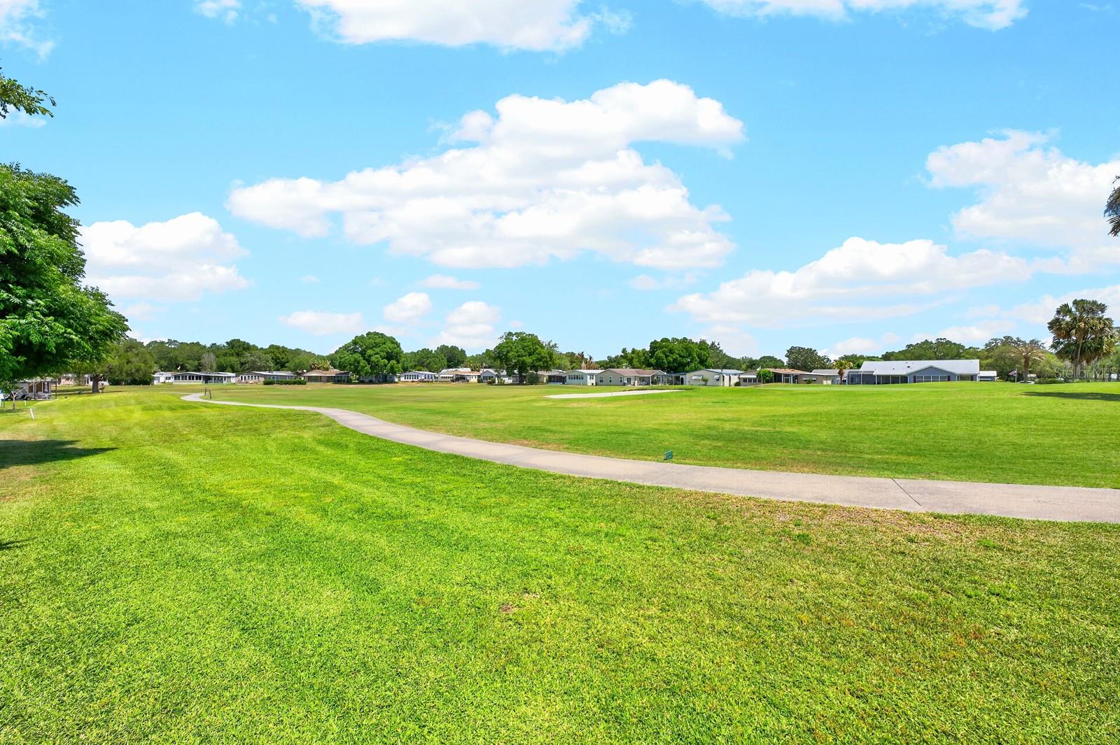 1603 COG HILL DR, LADY LAKE, FL — photo 48