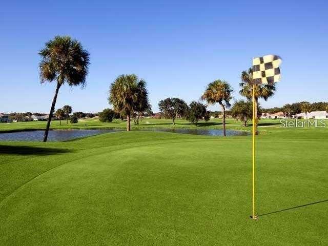 203 AMESBURY CIR, SUN CITY CENTER, FL — photo 46