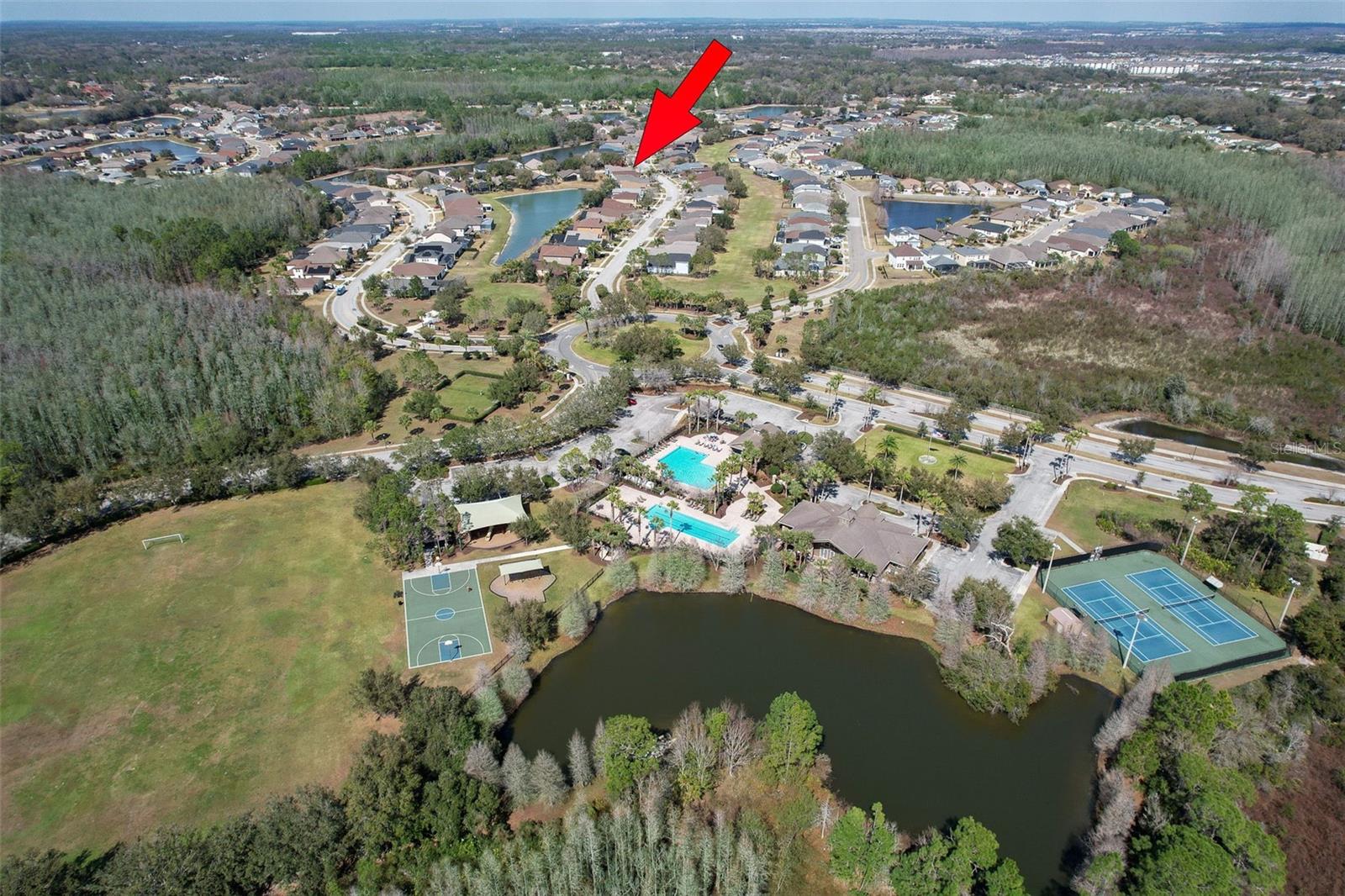 4639 POINTE O WOODS DR, WESLEY CHAPEL, FL — photo 19