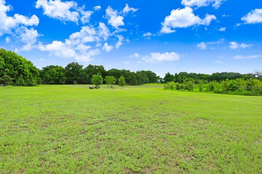 37352 ½ TRILBY RD, DADE CITY, FL