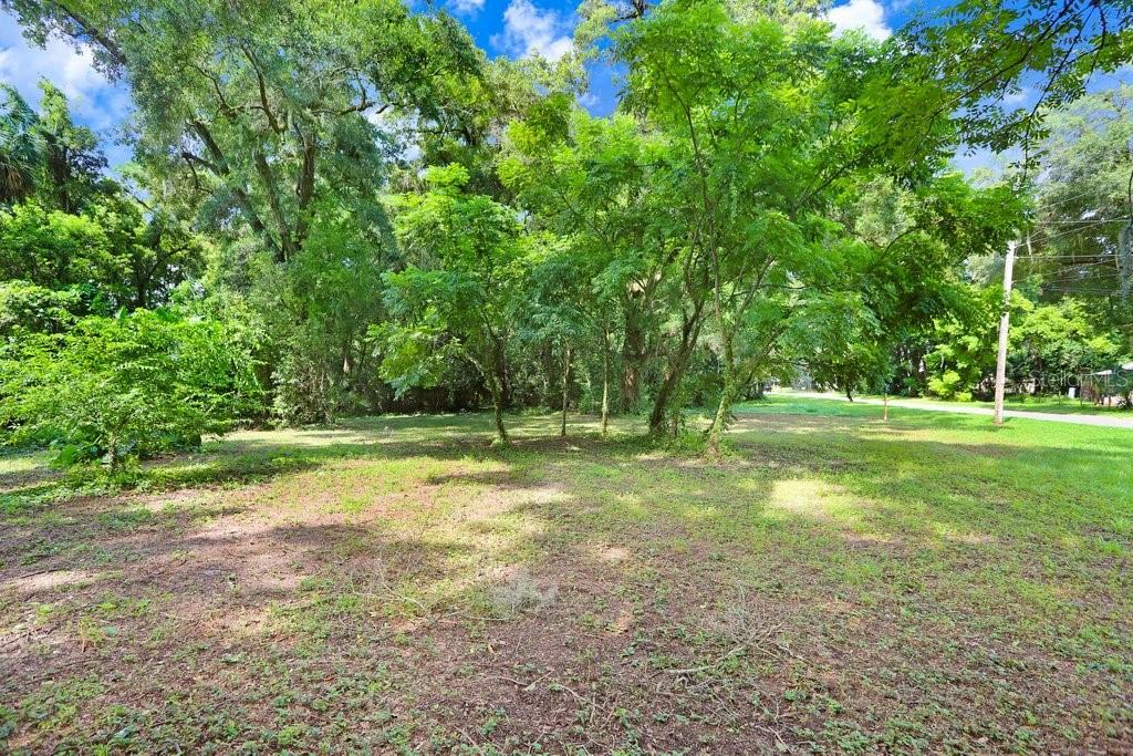 37352 ½ TRILBY RD, DADE CITY, FL — photo 7