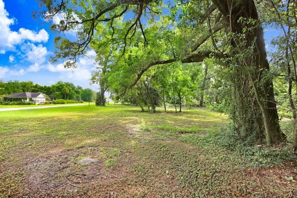 37352 ½ TRILBY RD, DADE CITY, FL — photo 10