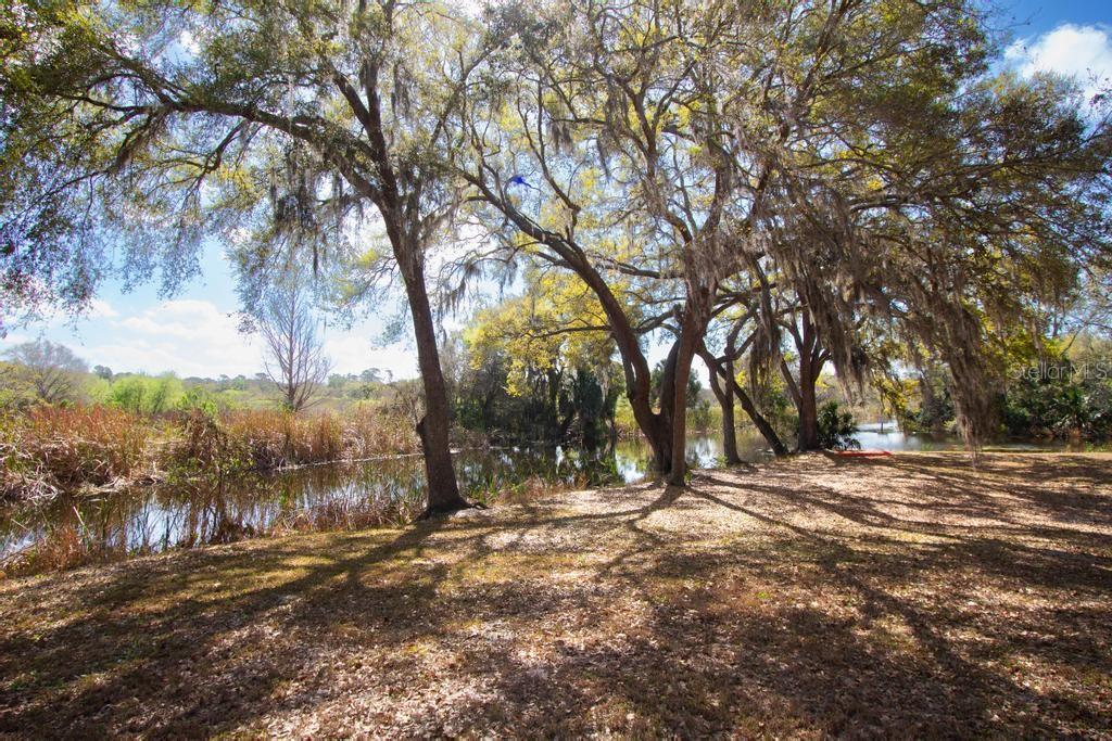 15950 SPLENDID OAKS LN, TAVARES, FL — photo 78