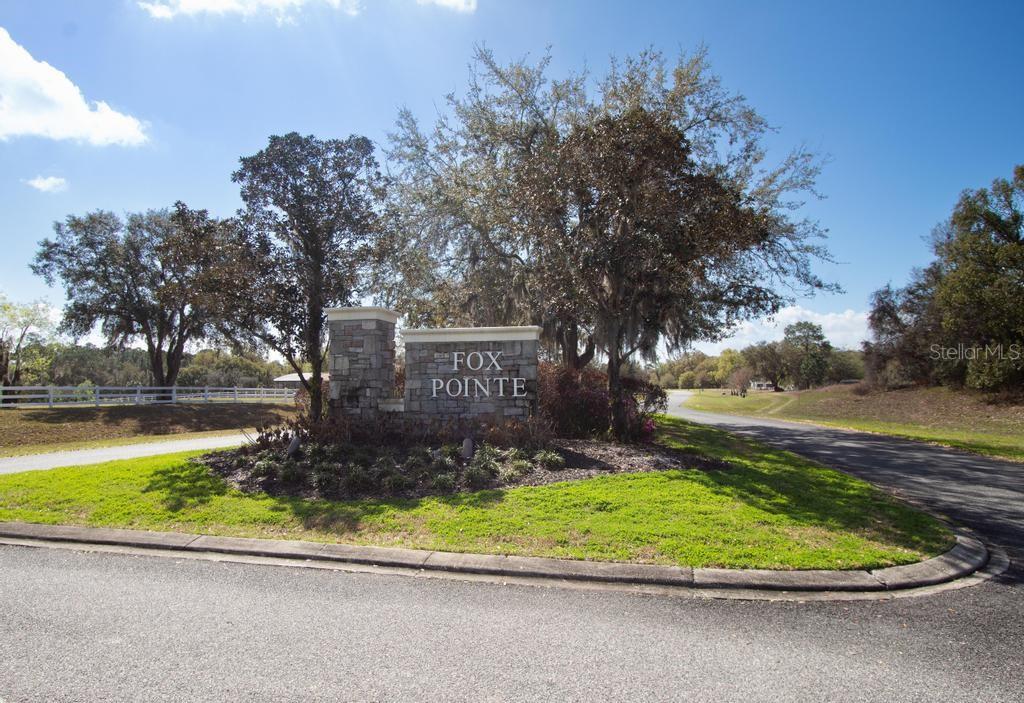 15950 SPLENDID OAKS LN, TAVARES, FL — photo 83