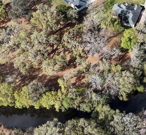 15950 SPLENDID OAKS LN, TAVARES, FL — photo 93