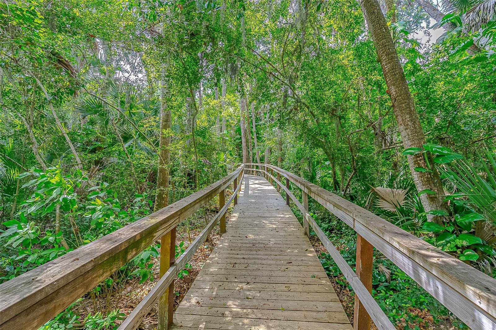 217 SCHOONER AVE, EDGEWATER, FL — photo 50