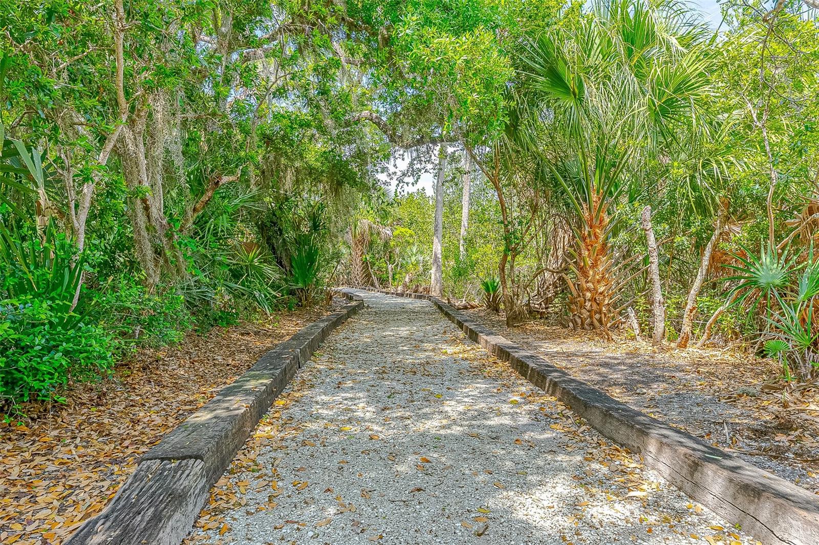217 SCHOONER AVE, EDGEWATER, FL — photo 51