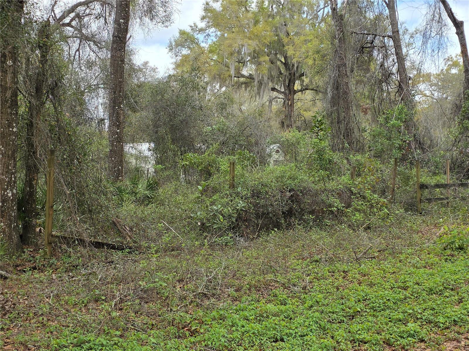 00 SE 30TH AVE, SUMMERFIELD, FL — photo 3