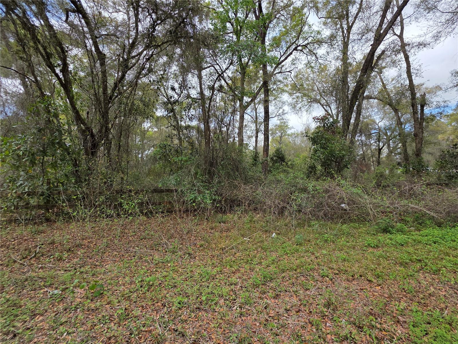 00 SE 30TH AVE, SUMMERFIELD, FL — photo 4