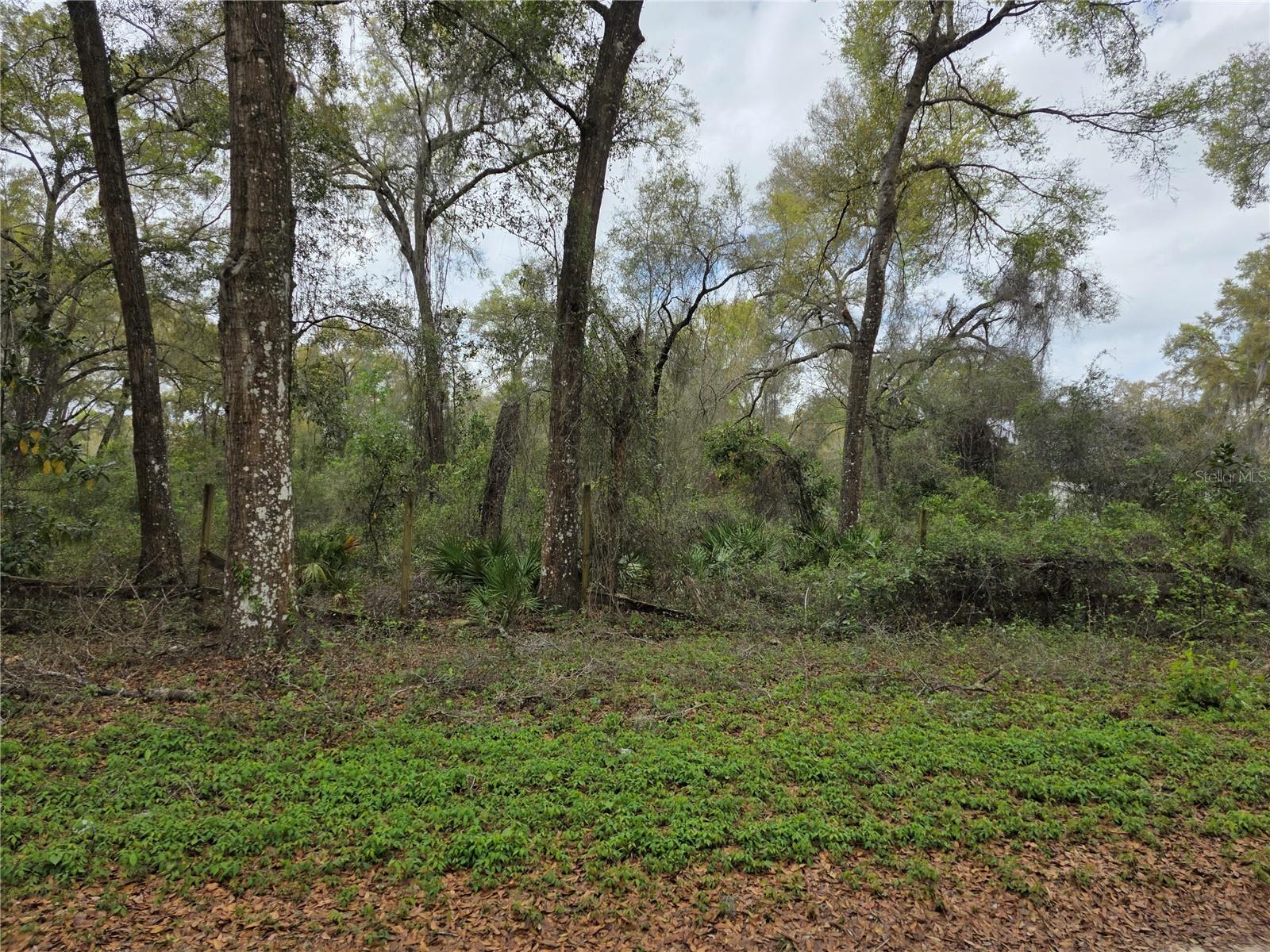 00 SE 30TH AVE, SUMMERFIELD, FL — photo 6