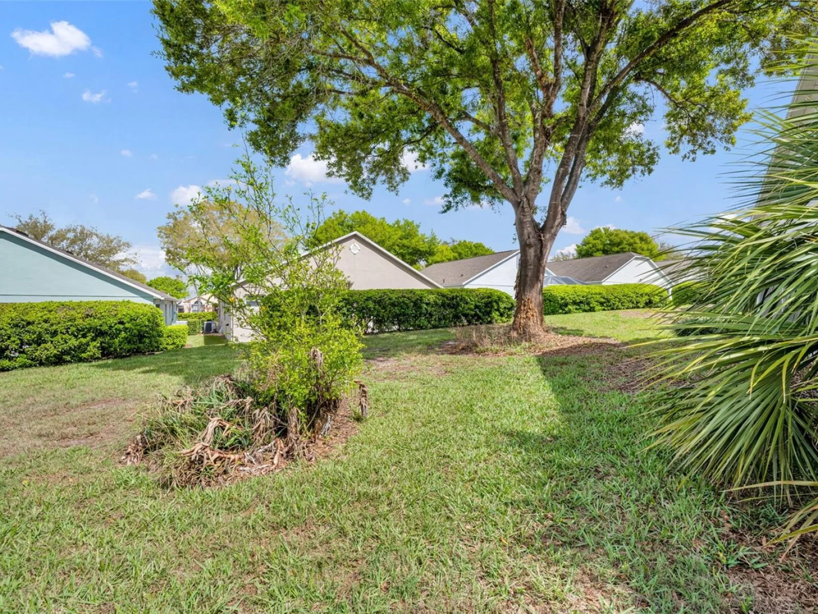 3635 KINGSWOOD CT, CLERMONT, FL — photo 63