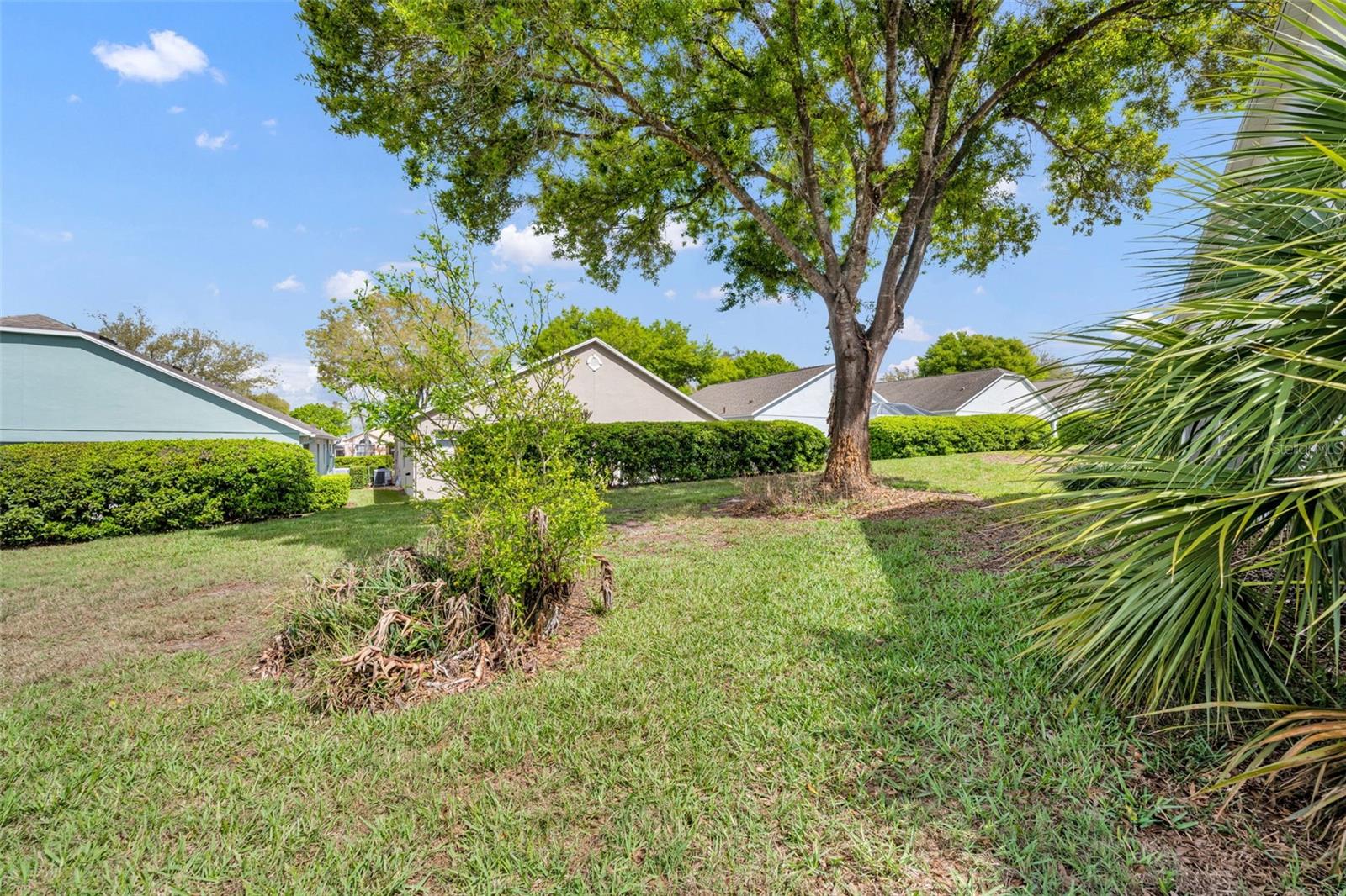 3635 KINGSWOOD CT, CLERMONT, FL — photo 64