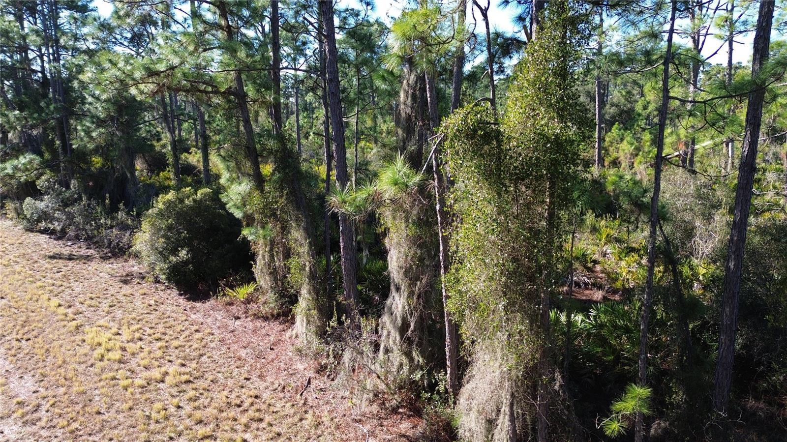 CODY CIR, NORTH PORT, FL — photo 10