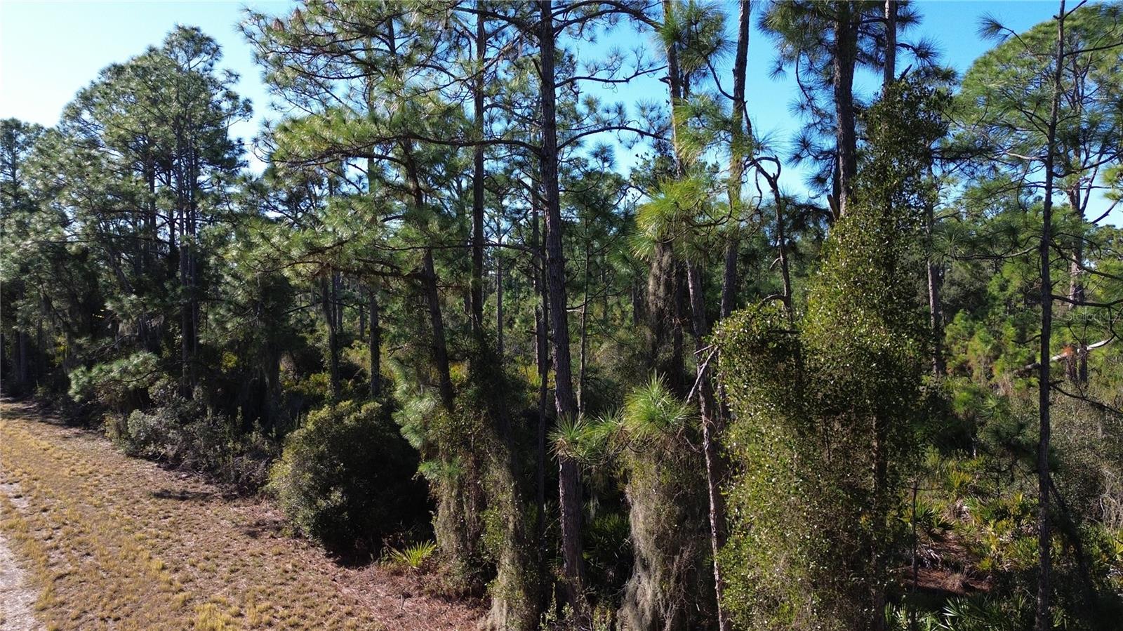 CODY CIR, NORTH PORT, FL — photo 11