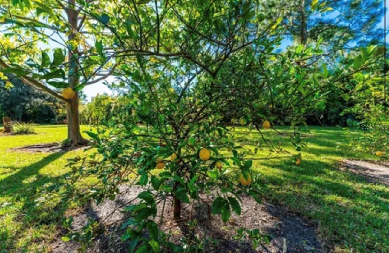 25271 ROLAND LN, PUNTA GORDA, FL — photo 2
